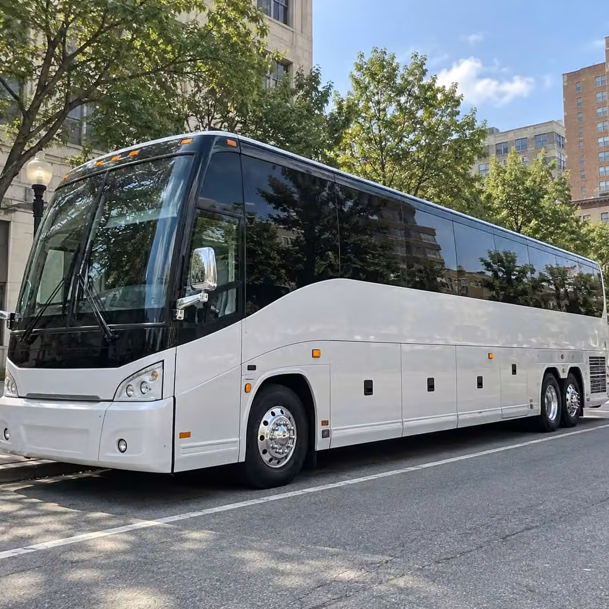 laguna hills 15 to 35 passenger wedding minibuses for laguna hills guest transfers